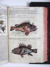 Mattioli, Pietro Andrea, Commentarii in VI libros Pedacii Dioscoridis Anazarbei de Medica materia.