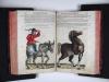 Mattioli, Pietro Andrea, Commentarii in VI libros Pedacii Dioscoridis Anazarbei de Medica materia.