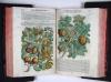Mattioli, Pietro Andrea, Commentarii in VI libros Pedacii Dioscoridis Anazarbei de Medica materia.