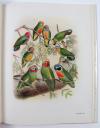 Reichenow, A, Vogelbilder aus fernen Zonen. Papageien. 2., von J. Steinbacher und H. von Boetticher neu bearb. Auflage.