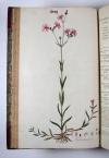 Curtis, William, Flora Londinensis: or, plates and descriptions of such plants as grow wild in the environs of London, with their places of growth, and times of flowering, their several names according to Linnaeus and other authors: with a particular description of each plant in latin and english. To which are added their several uses in medicine, agriculture, rural oeconomy and other arts.