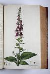 Curtis, William, Flora Londinensis: or, plates and descriptions of such plants as grow wild in the environs of London, with their places of growth, and times of flowering, their several names according to Linnaeus and other authors: with a particular description of each plant in latin and english. To which are added their several uses in medicine, agriculture, rural oeconomy and other arts.