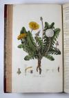 Curtis, William, Flora Londinensis: or, plates and descriptions of such plants as grow wild in the environs of London, with their places of growth, and times of flowering, their several names according to Linnaeus and other authors: with a particular description of each plant in latin and english. To which are added their several uses in medicine, agriculture, rural oeconomy and other arts.