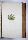 Curtis, William, Flora Londinensis: or, plates and descriptions of such plants as grow wild in the environs of London, with their places of growth, and times of flowering, their several names according to Linnaeus and other authors: with a particular description of each plant in latin and english. To which are added their several uses in medicine, agriculture, rural oeconomy and other arts.